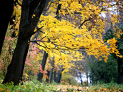 Russie: les paysages pittoresques de l'automne
