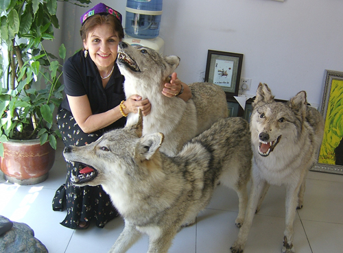 Mes amis les loups Gendengjiap, Mongol