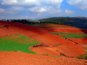 Terre rouge de la province du Yunnan