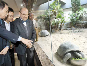 Des tortues rares seront présentées lors de l'Expo 2010