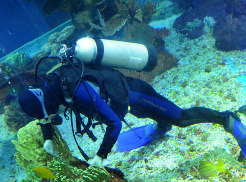 Nettoyeurs du fond de mer