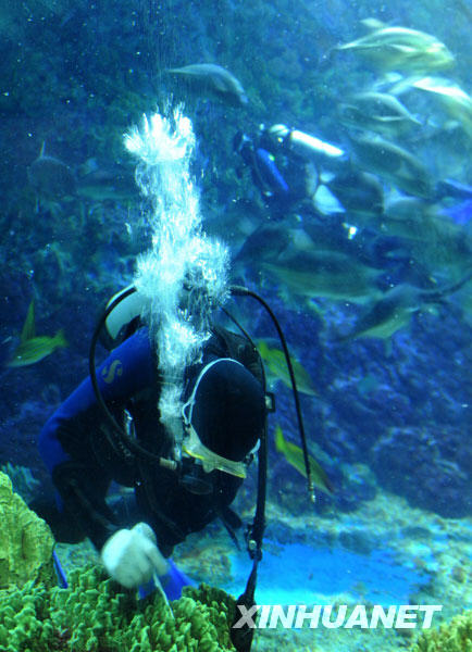 Deux plongeurs travaillent sous l'eau. 