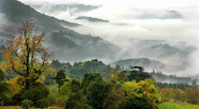 La réserves naturelle de Tian Bao Yan dans la province du Fujian