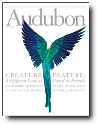 Audubon