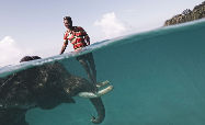 Voici quelques photos participant au concours international de la photographie 2009, organisé par le magazine américain « National Geographic». Ce concours est ouvert à toute personne, et chaque photographe peut déposer 6 oeuvres pour participer à la sélection, qui se divise en trois catégories : le personnage, le lieu et la nature.  Près des îles Andaman en Inde, Raja, éleveur d'éléphants, se tient debout sur les ivoires d'un éléphant, photo prise par Cesare Naldi  