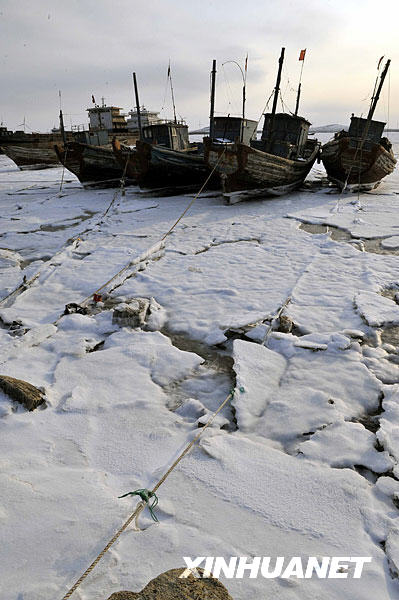 La mer du golfe de Laizhou, près du village de Haimiaokou, était complètement gelée (photo du 12 janvier). 