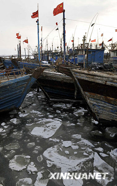 Des bateaux de pêche bloqués dans le golfe de Laizhou.