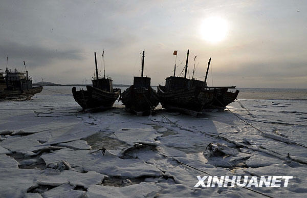 Des bateaux de pêche bloqués dans le golfe de Laizhou.