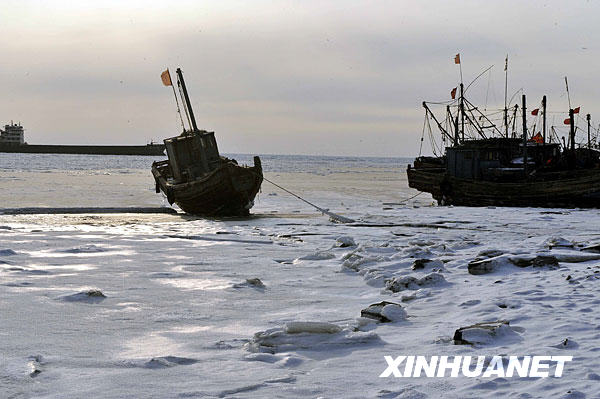 Des bateaux de pêche bloqués dans le golfe de Laizhou.
