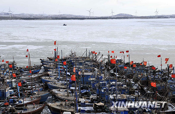 Des bateaux de pêche bloqués dans le golfe de Laizhou.