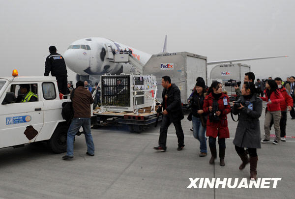 L'avion spécialement affrété pour les deux pandas arrive à l'aéroport international Shuangliu de Chengdu.