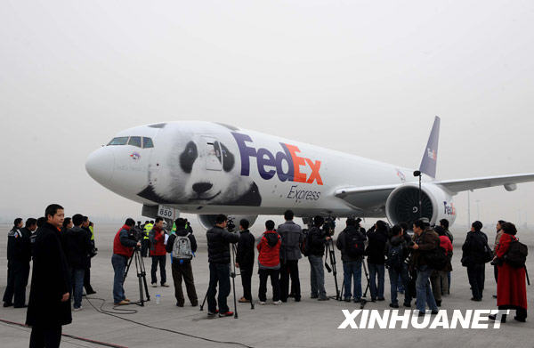 L'avion spécialement affrété pour les deux pandas arrive à l'aéroport international Shuangliu de Chengdu.