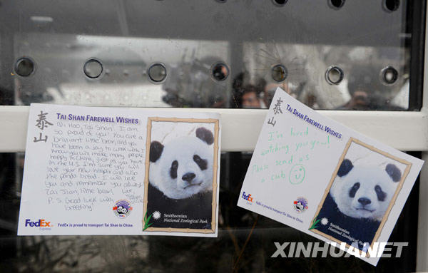 Des cartes de vœux accrochées sur la cage des pandas.