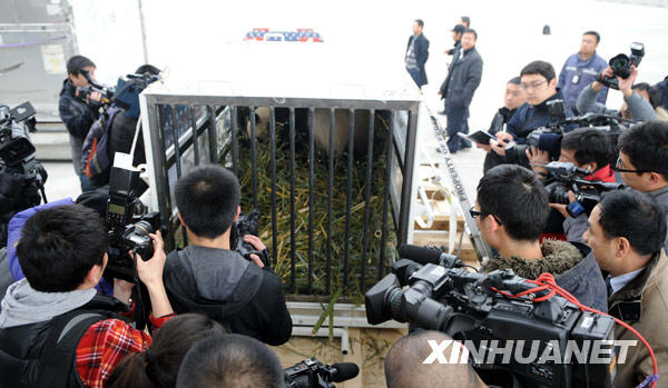 De nombreux journalistes se précipitent pour prendre des photos de Taishan.