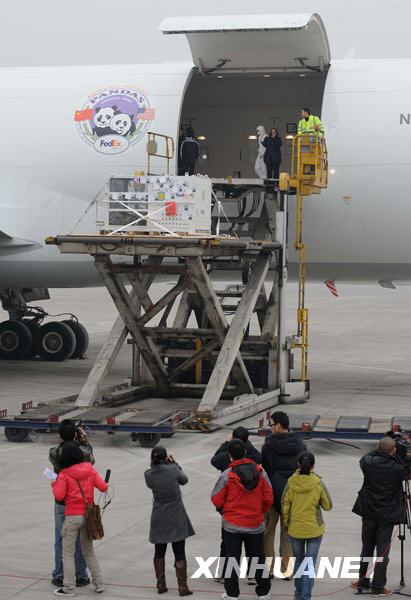 Descente d'avion de la cage de Taishan.