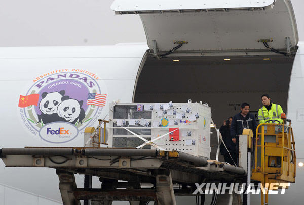 Descente d'avion de la cage de Taishan.