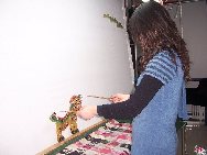 Une foire traditionnelle a débuté, le 7 février, au Centre culturel de Dongcheng à Beijing. L'exposition du patrimoine culturel de la foire a suscité le vif intérêt des visiteurs. La foire durera jusqu'au 16 février.
