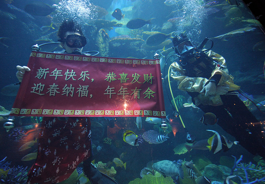 Des plongeurs déroulent une banderole portant des voeux de Nouvel An dans l'aquarium de Bangkok en Thaïlande.