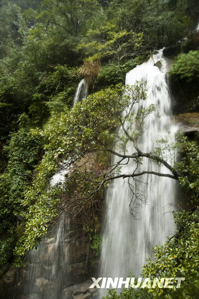 Après la fête du Printemps, le Nouvel An chinois, la région de Wuyuan, dans la province du Jiangxi (sud), est entrée dans la saison des pluies printanières. Grâce aux fortes précipitations, de nombreuses cascades se forment partout dans les montagnes, constituant un paysage magnifique.