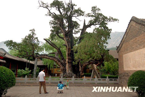 Le collège de Songyang (Photo prise en mai 2005)