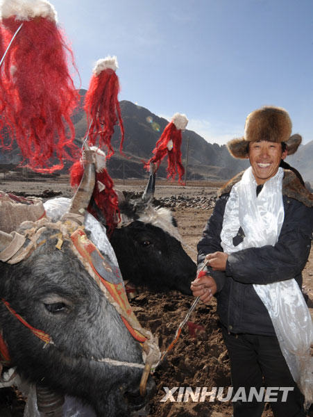 Le 16 mars, Migmar, agriculteur du bourg Ma dans le district de Dulung Deqing au Tibet participe à la cérémonie du labour printanier.