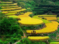 Meizhou : Un site touristique, culturel et écologique