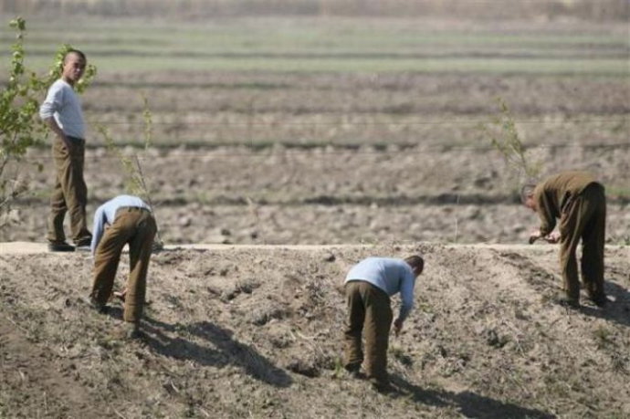 La Corée du Nord réelle dans l'objectif des journalistes et touristes étrangers 110