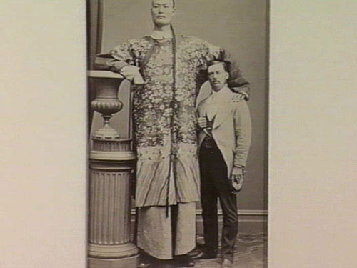 Avec une taille de 3,19 mètres, il était l'homme le plus grand du monde, avec 88 centimètres de plus que l'Américaine Sandy Allen et 74 de plus que le Chinois Wang Fengjun. 5