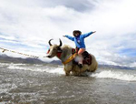 Tourisme écologique au Tibet