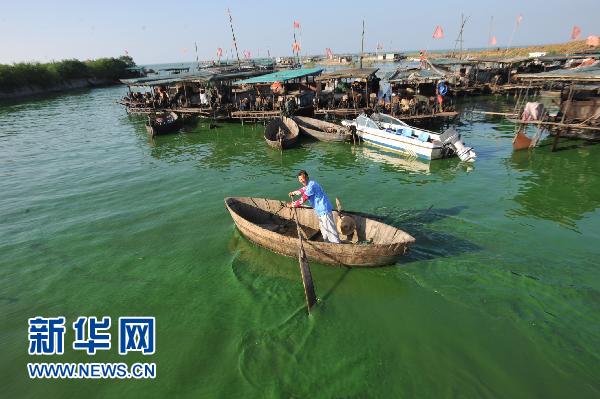 Les autorités environnementales de la province de l'Anhui (est) ont mis en garde contre un risque de prolifération d'algues bleues dans le lac Chaohu, le cinquième plus grand lac du pays. 1