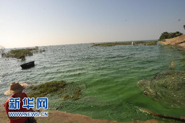 Les autorités environnementales de la province de l'Anhui (est) ont mis en garde contre un risque de prolifération d'algues bleues dans le lac Chaohu, le cinquième plus grand lac du pays. 2