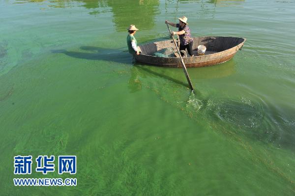 Les autorités environnementales de la province de l'Anhui (est) ont mis en garde contre un risque de prolifération d'algues bleues dans le lac Chaohu, le cinquième plus grand lac du pays. 4