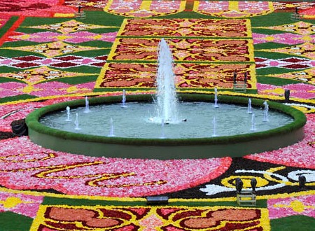 Belgique : achèvement du tapis de fleurs à Bruxelles