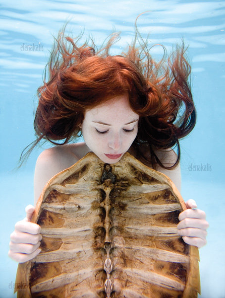 Les magnifiques photos aquatiques d&apos;Elena Kalis
