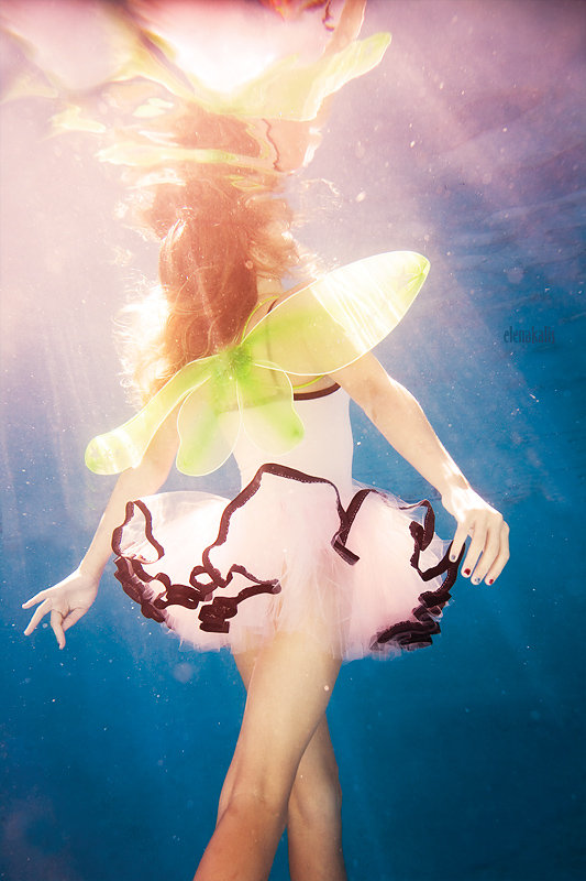 Les magnifiques photos aquatiques d&apos;Elena Kalis