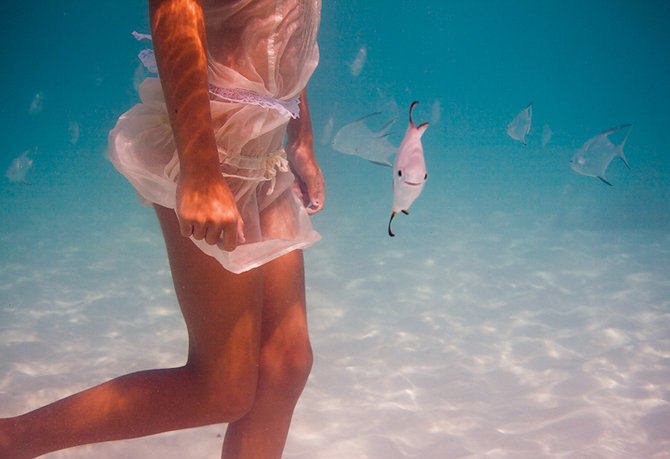 Les magnifiques photos aquatiques d&apos;Elena Kalis