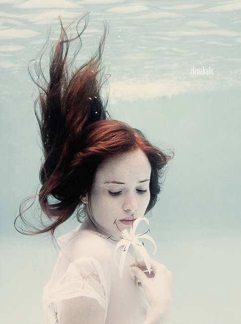 Les magnifiques photos aquatiques d&apos;Elena Kalis