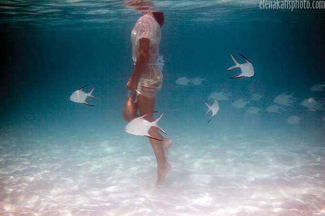 Les magnifiques photos aquatiques d&apos;Elena Kalis