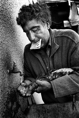 Photo: La vie quotidienne des gitans de St. Jacques en France