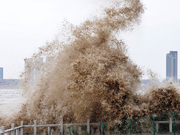 Le mascaret du fleuve de Qiantang le plus grandiose des huit dernières années