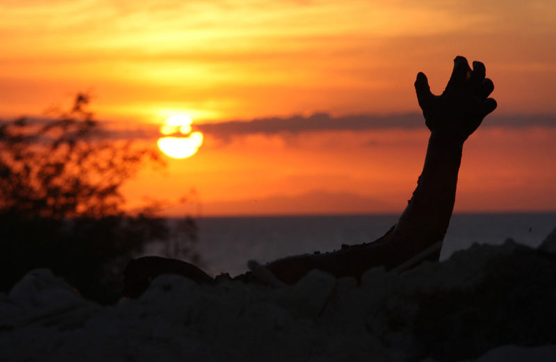 Les photos de l'année 2010 du Boston Globe(3)