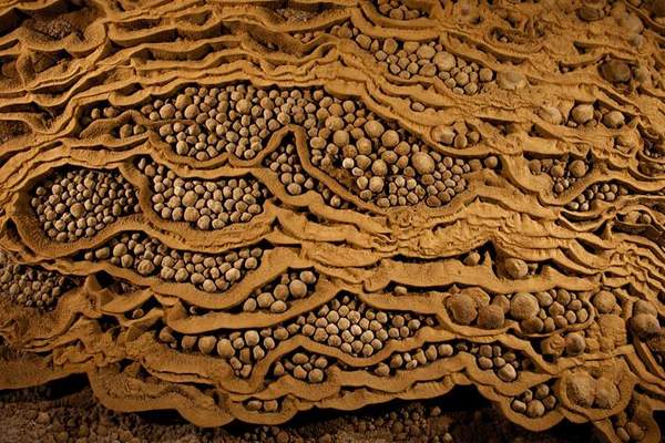 Vietnam : À la découverte de la plus grande grotte du monde(11)