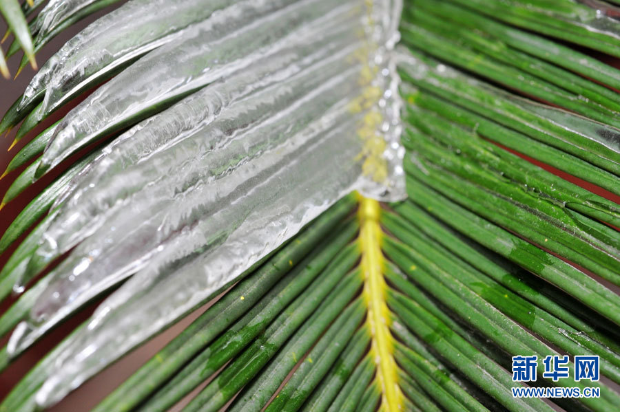 La Chine lance des procédures d'urgence contre la pluie verglaçante dans le sud (5)