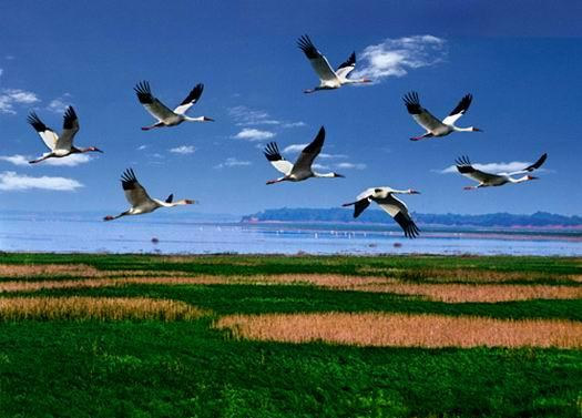 4e journ&eacute;e : Jiujiang &ndash; district de Yongxiu &ndash; district de Xingzi