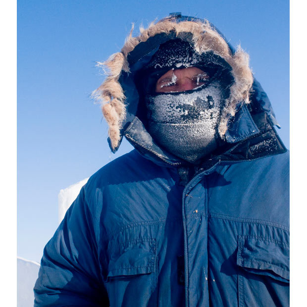 Guérison miracle pour un ours polaire blessé(13)