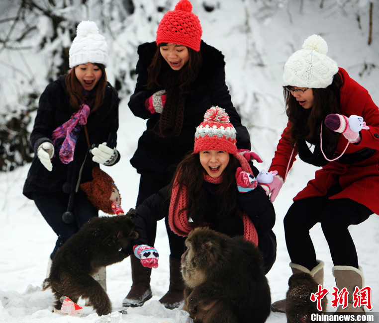 Le mont Emei couvert de neige(3)