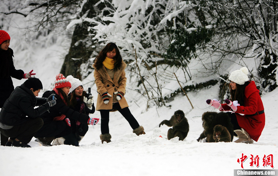 Le mont Emei couvert de neige(8)