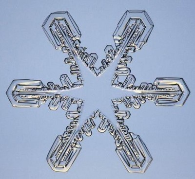 Un flocon de neige sous le microscope