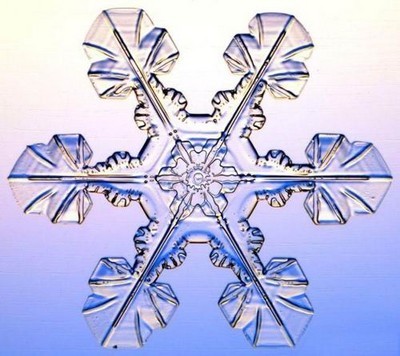 Un flocon de neige sous le microscope