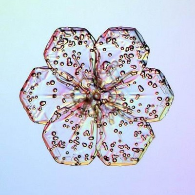Un flocon de neige sous le microscope